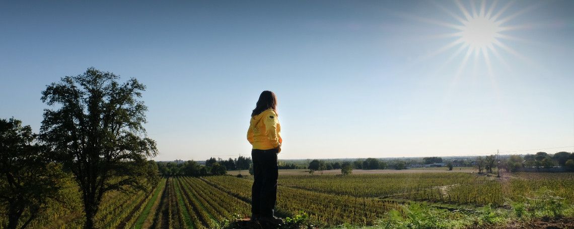 Podere di Manzano Podere di Manzano