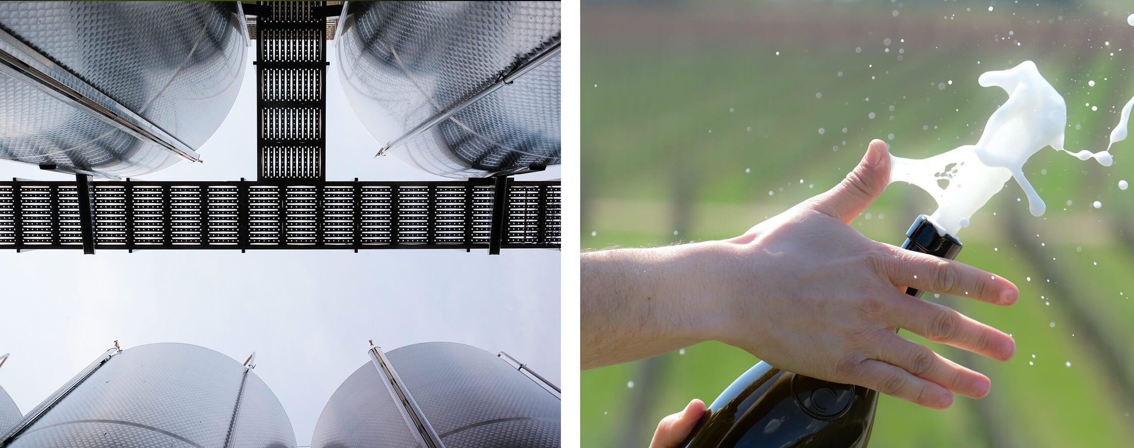 Metodo Charmat e Metodo Classico per la produzione di spumante