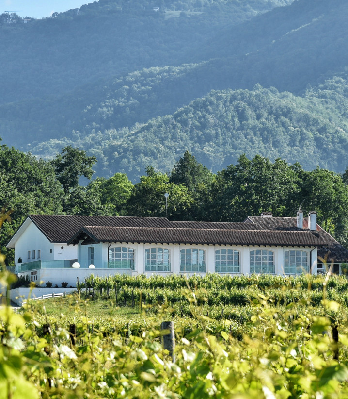 azienda_panoramica