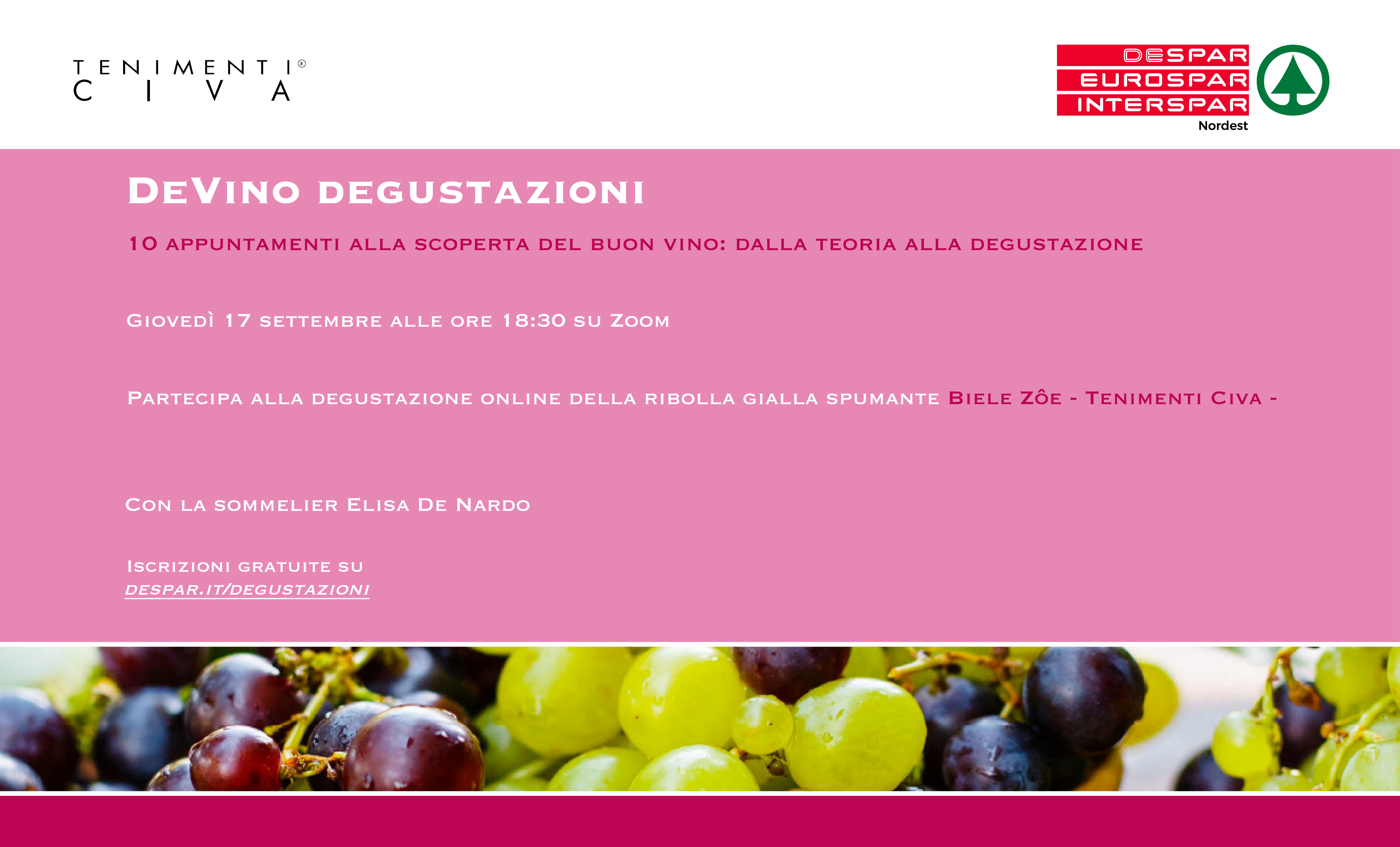 CI VEDIAMO SU ZOOM ALLA SCOPERTA DEL BUON VINO: DALLA TEORIA ALLA DEGUSTAZIONE CON TENIMENTI CIVA DESPAR E ELISA DE NARDO di SLOW FOOD