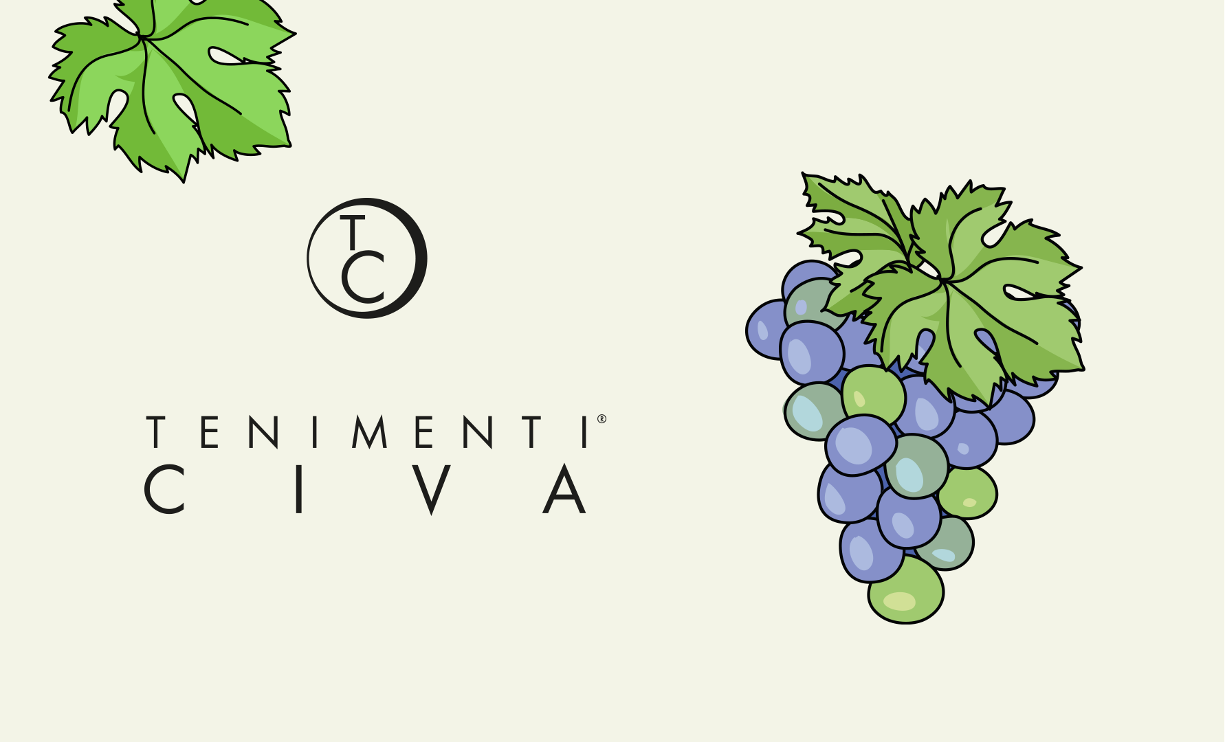 Lavoro in vigna nel periodo primavera-estate: l’arte di curare e preparare le viti