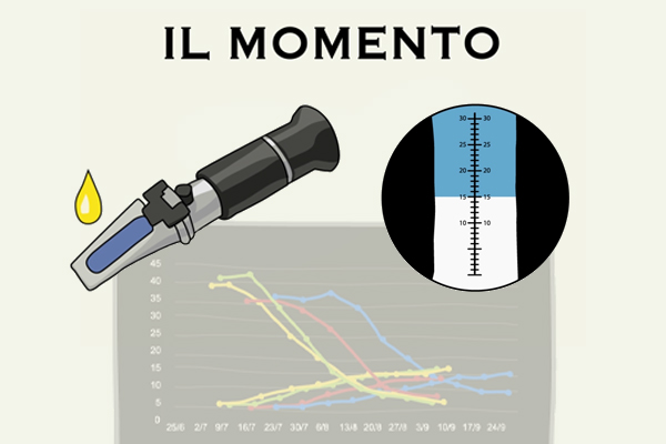Analisi dell'uva